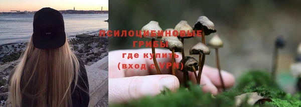 кокс Абдулино