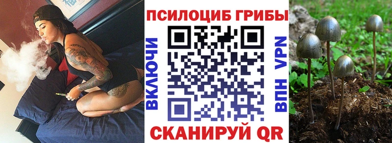Псилоцибиновые грибы MAGIC MUSHROOMS  Щёкино 
